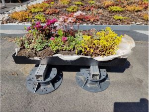 Модуль кровельного озеленения GRPro Level Green