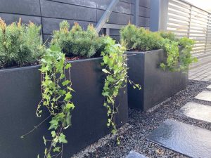 Черные уличные кашпо с зеленью