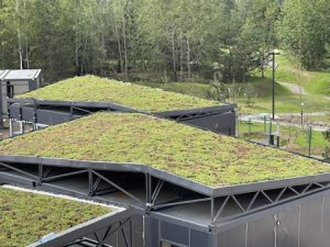 Зеленая кровля